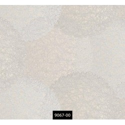 9067-00